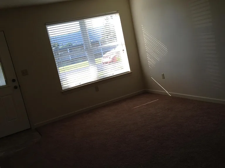 106 Myotis Dr — Photo 4