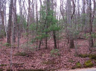 6.28 Ac Lot 9 - Parker Run Rd, Ellijay, GA 30540