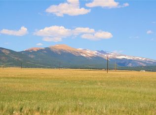 261 Royal Coachman Ln, Fairplay, CO 80440