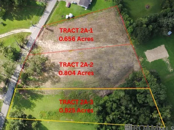 TRACT 2A Three Muddy Creek Rd, Prairieville, LA 70769