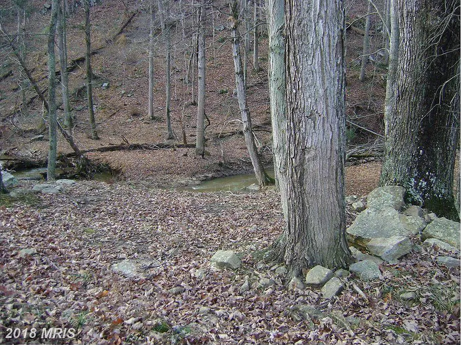 16732 Bloomery Pike photo 1