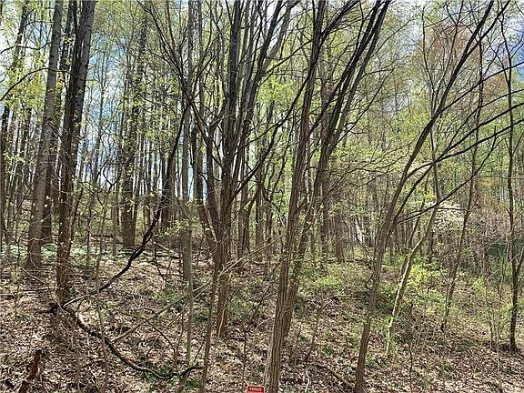 3rd image of 1550 Fox Hollow Dr