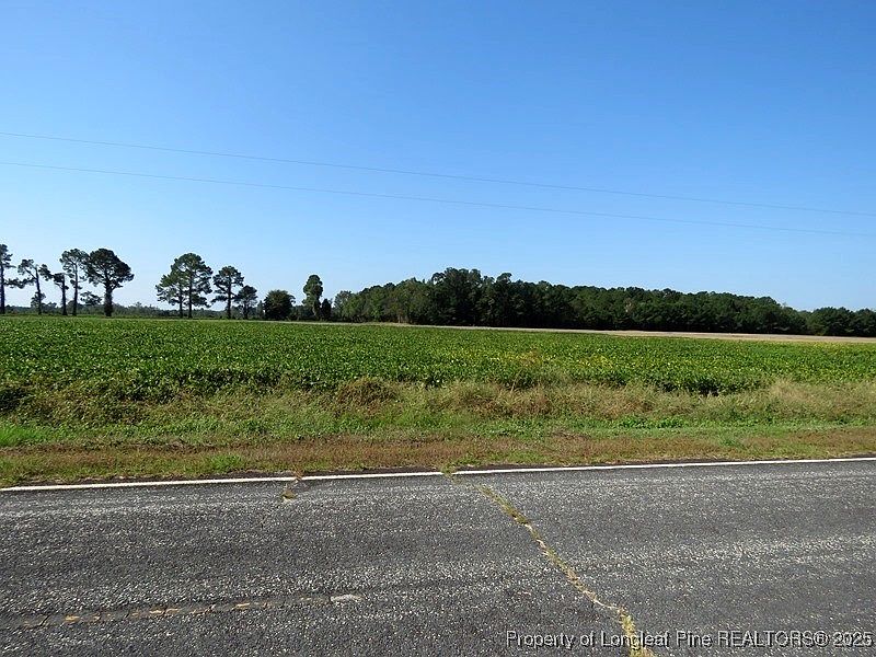 2nd image of Cowpen Swamp Rd