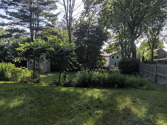 Backyard - Looking back towards the house
