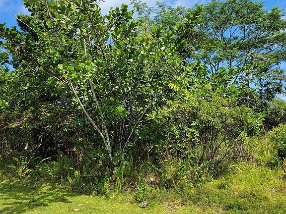 2nd image of 13th Avenue Kukui