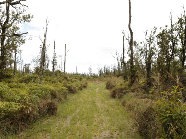 11-2267 Ohialani Rd Lot 24, Volcano, HI 96785
