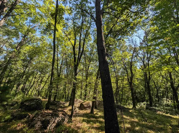 N6161 County Road K, Ogdensburg, WI 54962