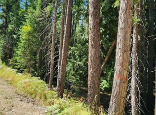 3 Swanson Loop Rd, Troy, MT 59935