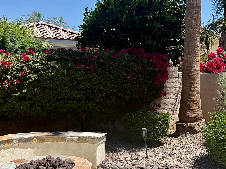 81710 Avenida Parito — Photo 6