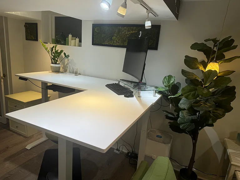 Stand up desk with monitor and usb hub. One connection to power and workstation.