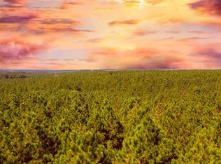 73 Bear Pine Trl LOT 73, Broken Bow, OK 74728