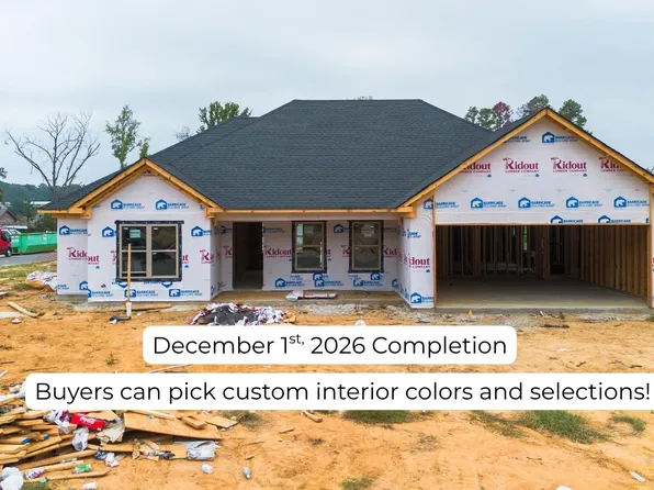 307 Millie Ct, Austin, AR 72176