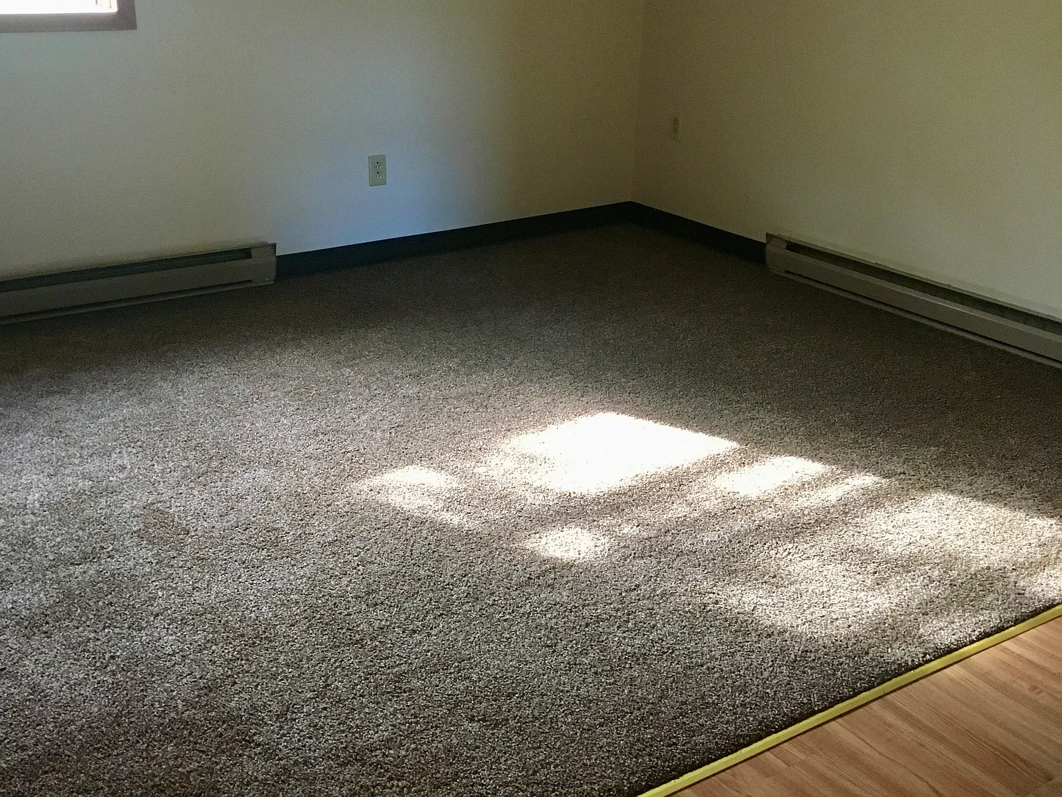 1 bed, 1000 sqft, $995 — Photo 3