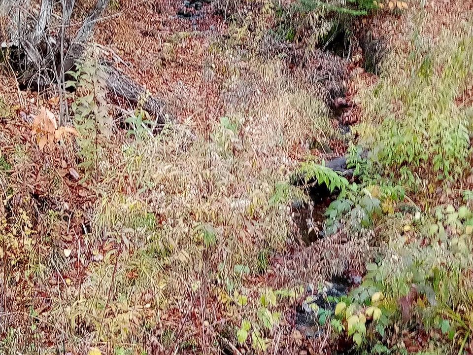 2nd image of 000 Square Road Lot B