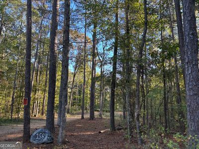 156 County Road 606, Woodland, AL, 36280