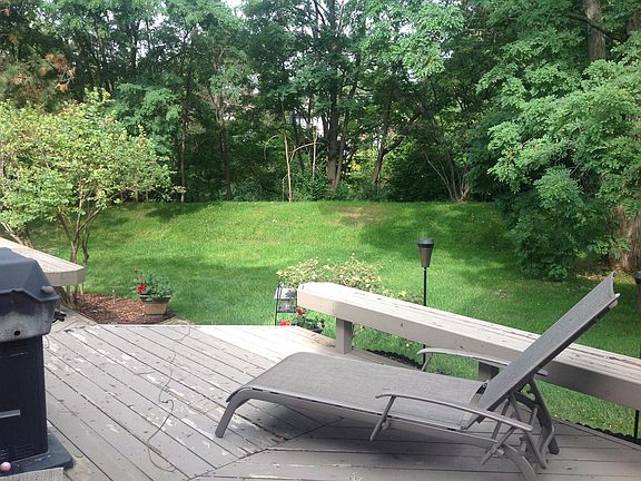 View of backyard