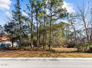 119 Buena Vista Dr, Newport, NC 28570
