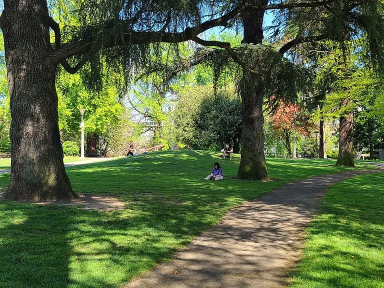 Gardner Court - Portland Oregon - Couch Park