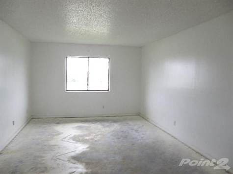 5th image of 5100 Palm Hill Dr APT 209