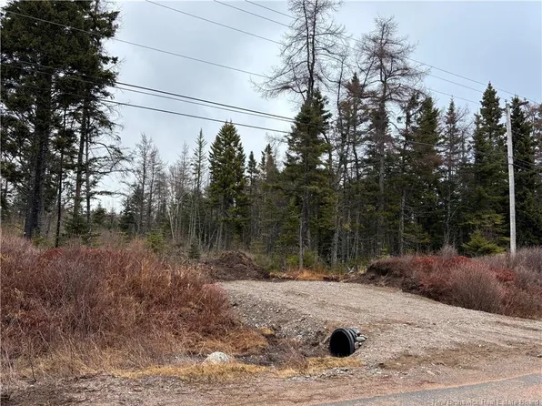 Mink Brook Rd, Lepreau, NB E5J 1K7