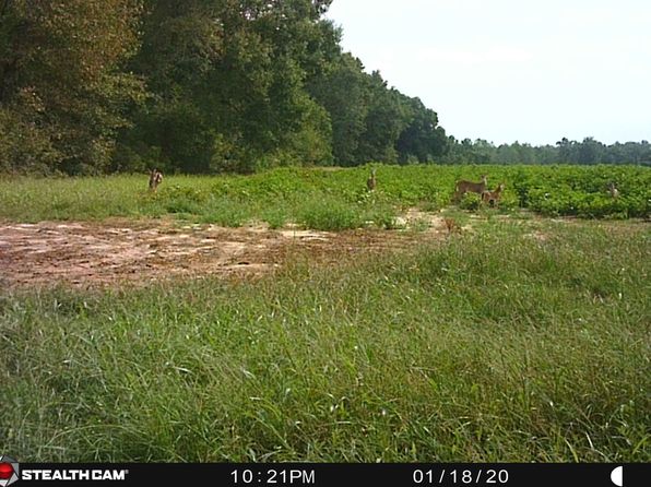 405 Pine Rd, Edison, GA 39846