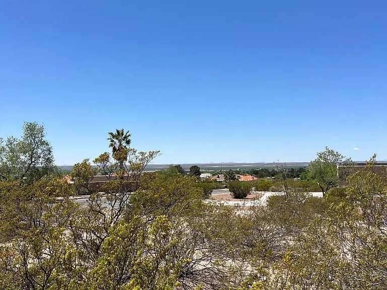 Superstition Dr — Photo 30