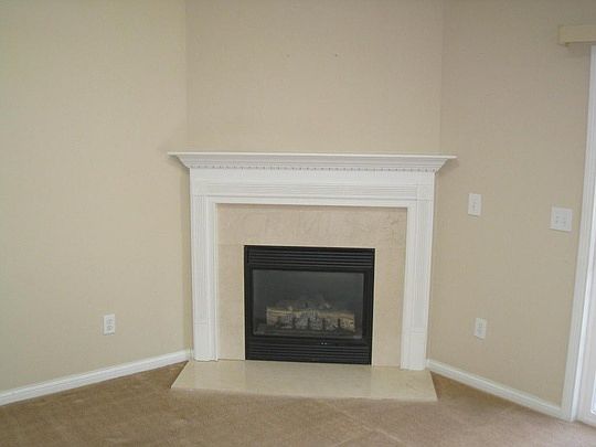 4th image of 398 Cool Springs Ln