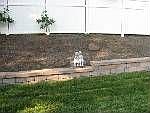 Retaining wall in back yard