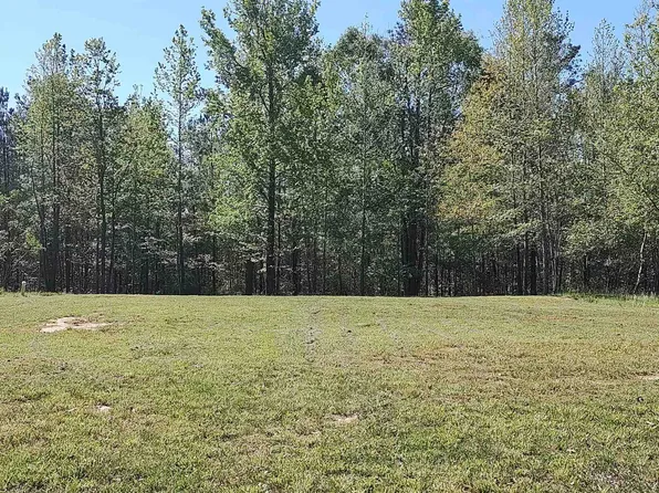 2798 Boxankle Rd, Forsyth, GA 31029