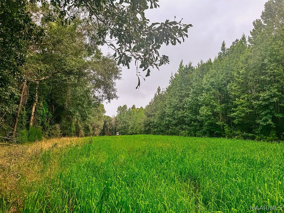 1st image of 41 County Road 24 Rd