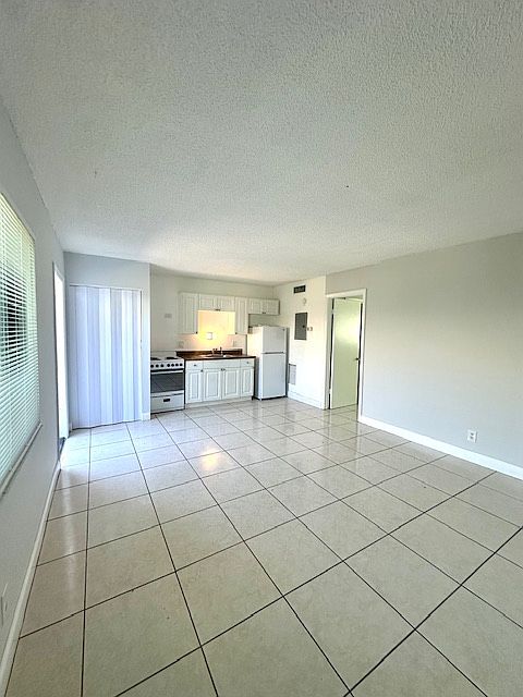 Living Room/Kitchen Area