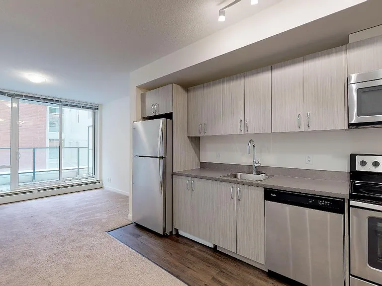 450 8th Ave SE #203 — Photo 3