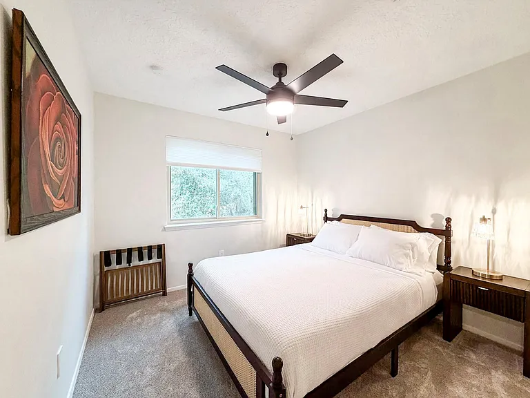 29 Pinewood Forest Ct — Photo 26