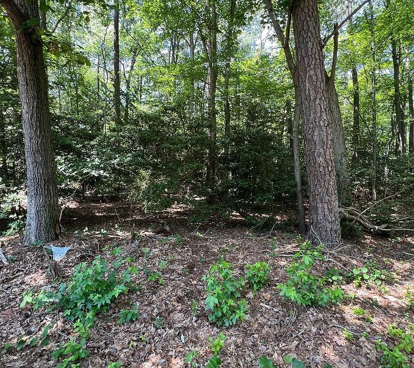 2nd image of 109 W Vega Way Lot 8