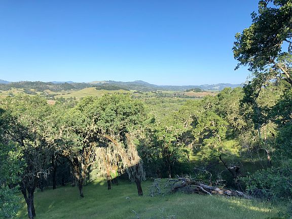 View toward Silver Oak Wnry