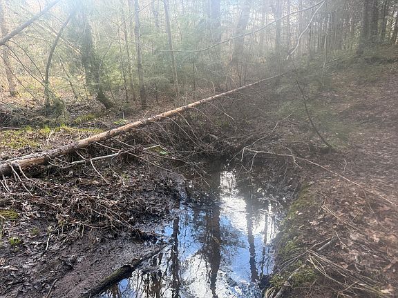 3rd image of Black River Rd