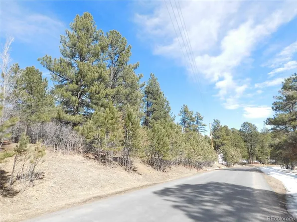 1025 Tenderfoot Drive LOT 34, Larkspur, CO 80118