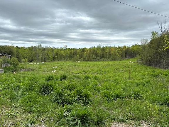 4th image of 104264 Grey Rd #18