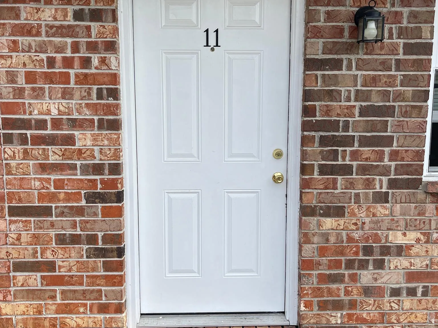 1 bed, $800 — Photo 3