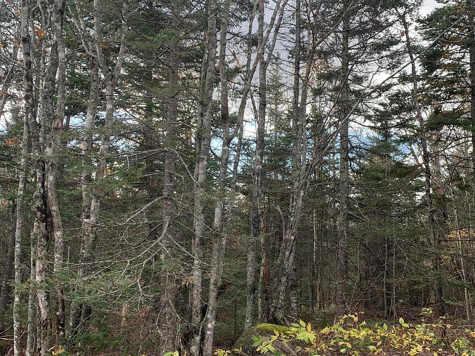 2nd image of Lot 2-20 Yellow Birch Road