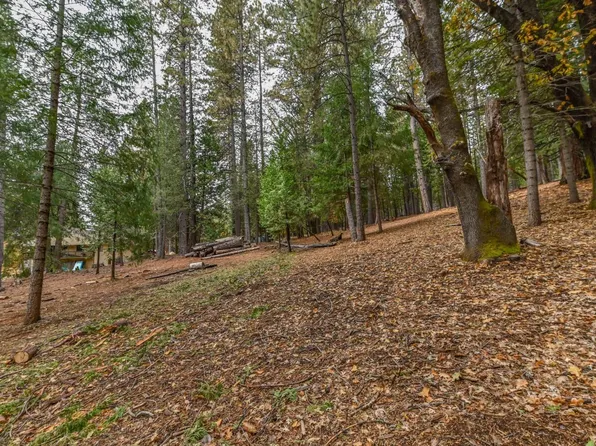 27339-27339 Ashland Dr, Pioneer, CA 95666