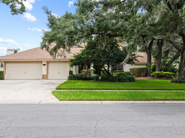 2555 Mason Oaks Dr, Valrico, FL 33596