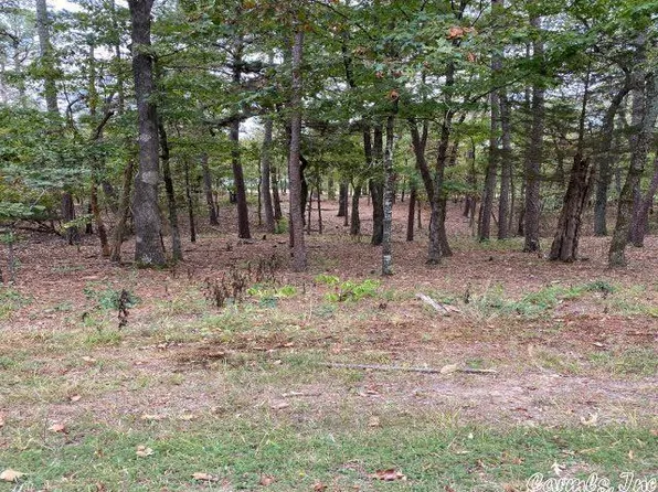 46 Loyola Dr, Hot Springs Village, AR 71909