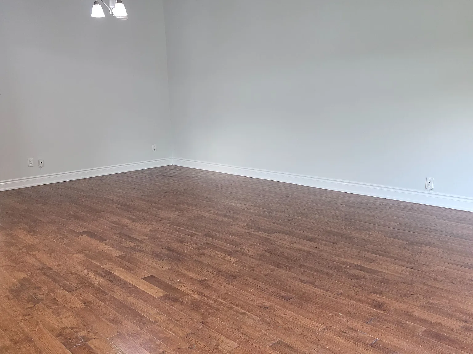 3 bed, $2,900 — Photo 3