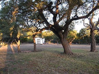 Storage Building & Trees