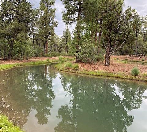 3rd image of 3891 Sugar Pine Way