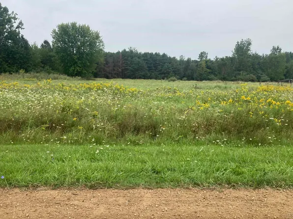 Marion Rd, Brant, MI 48614
