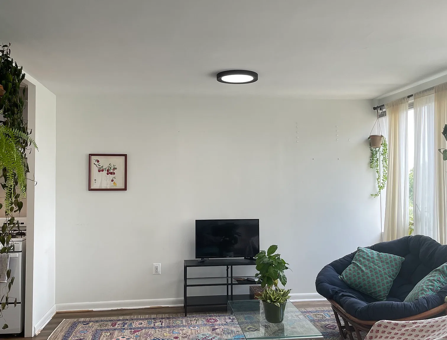Studio, 428 sqft, $1,600 — Photo 3