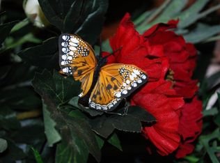 6371 Spring Creek Rd, Tullahoma, TN 37388