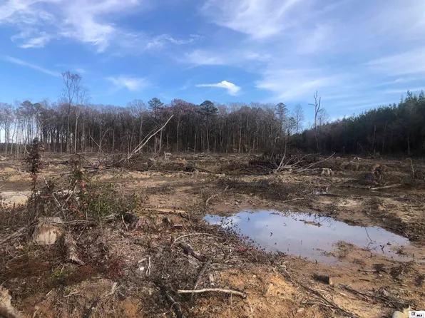 6007 Carl Rd, Bastrop, LA 71220